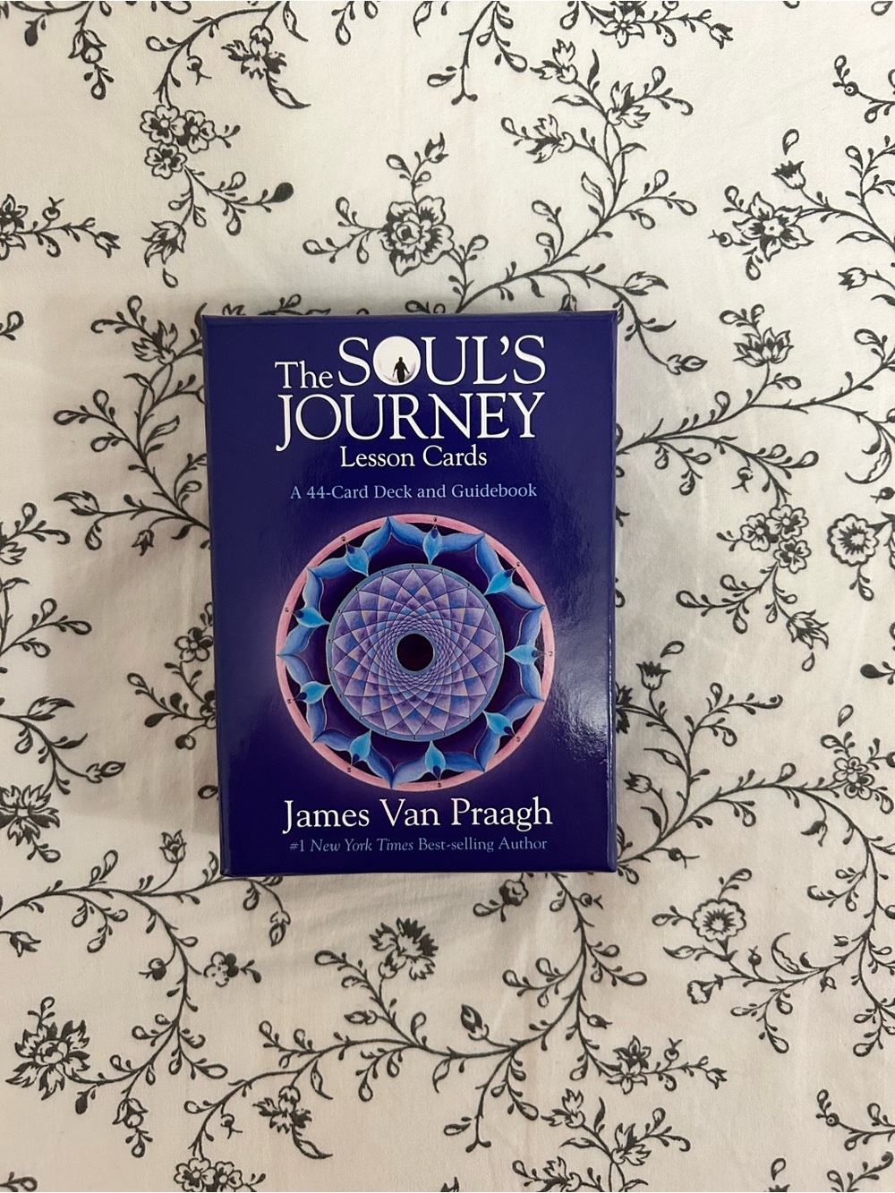 The Soul's Journey Lesson Cards: A 44-card Deck And Guidebook